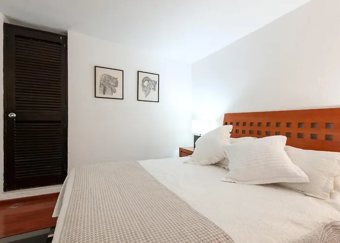 1-b El Rincon Garden House, Welcome To San Angel Apartment Mexico City