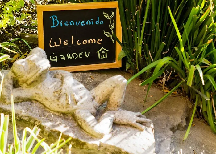 Apartment 1-b El Rincon Garden House, Welcome To San Angel *