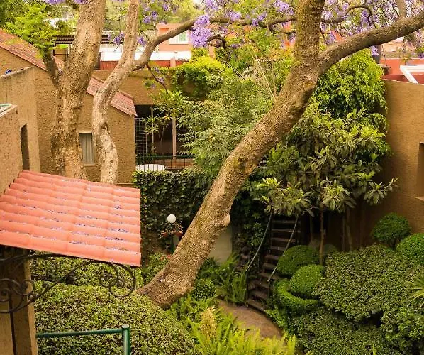 1-b El Rincon Garden House, Welcome To San Angel Apartment *