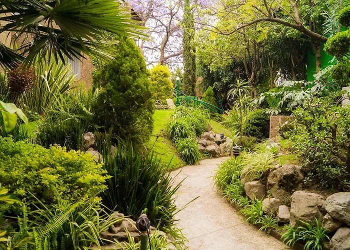Apartment 1-b El Rincon Garden House, Welcome To San Angel Mexico City