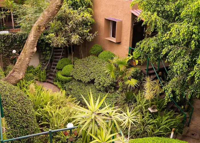 1-b El Rincon Garden House, Welcome To San Angel Apartment